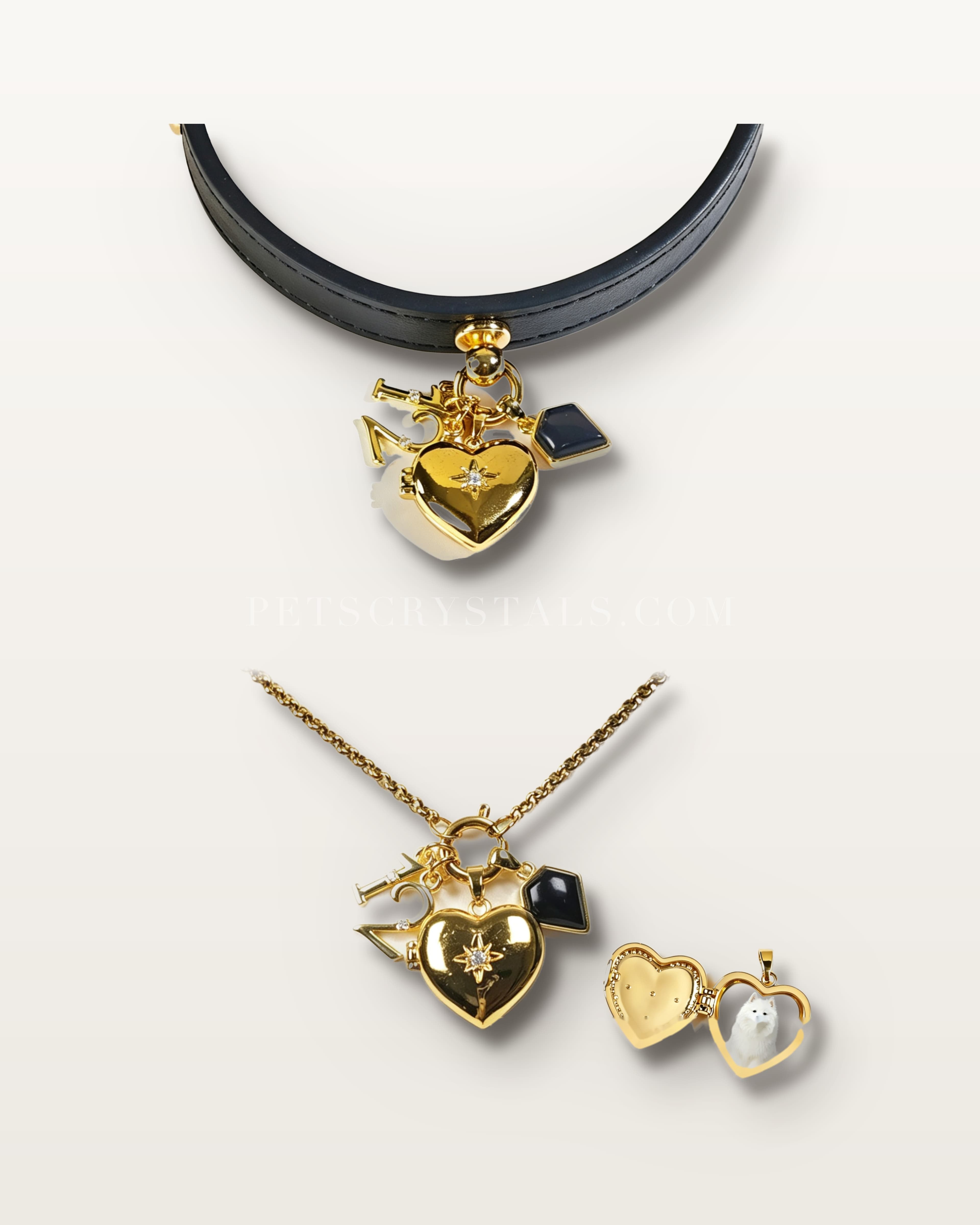 December — Obsidian — matching Obsidian crystal bracelet and pet collar charm set