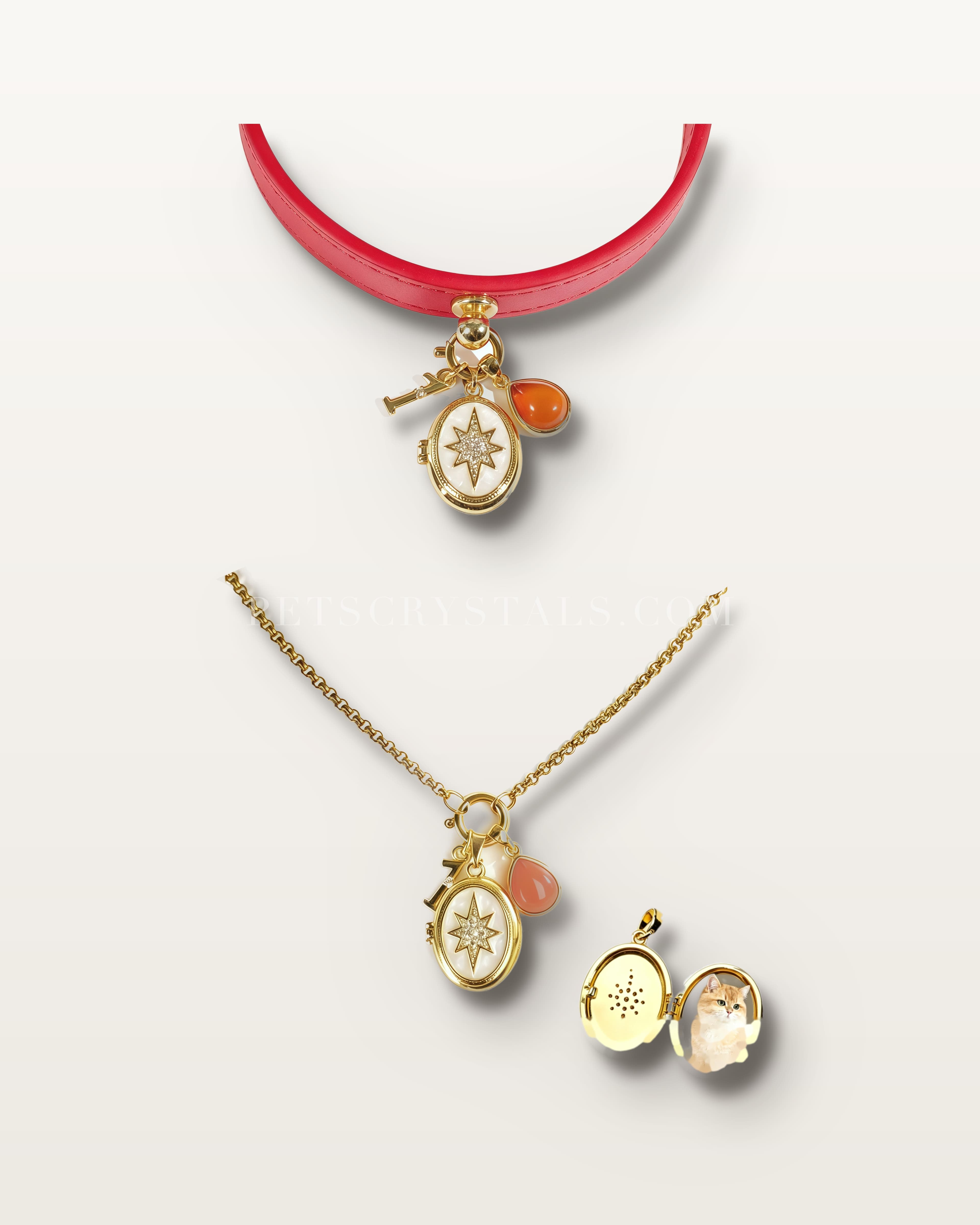 January — Red Agate — matching Red Agate crystal bracelet and pet collar charm set